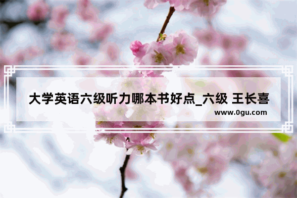 大学英语六级听力哪本书好点_六级 王长喜 新东方 听力 阅读 那个好