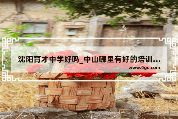 沈阳育才中学好吗_中山哪里有好的培训学校