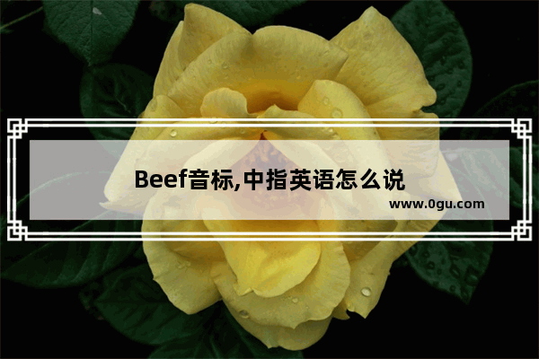 Beef音标,中指英语怎么说