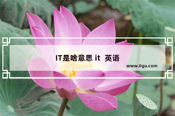 IT是啥意思 it  英语