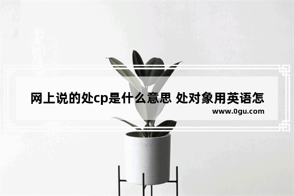 网上说的处cp是什么意思 处对象用英语怎么说