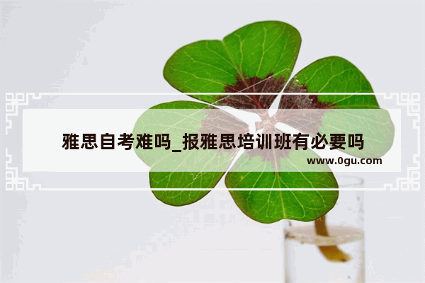 雅思自考难吗_报雅思培训班有必要吗