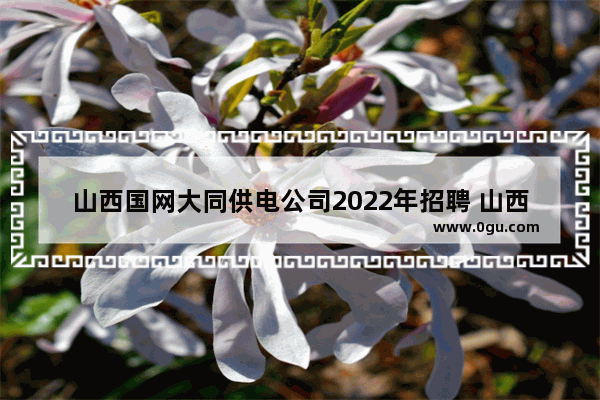 山西国网大同供电公司2022年招聘 山西大同大学英语六级报名