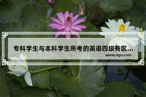专科学生与本科学生所考的英语四级有区别吗_给想个微信号 好记的 是微信号 不是昵称