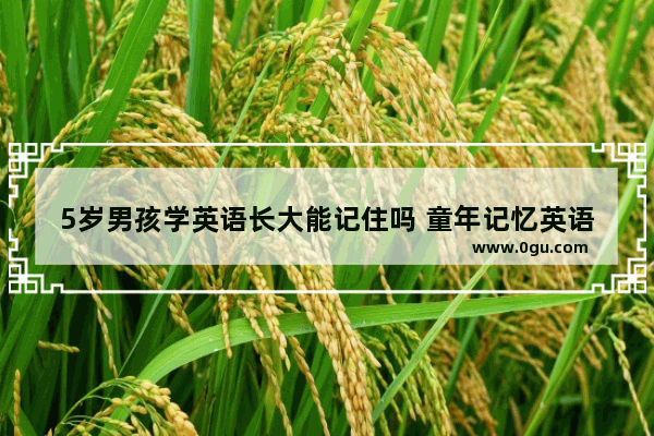 5岁男孩学英语长大能记住吗 童年记忆英语口语对话