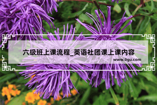 六级班上课流程_英语社团课上课内容