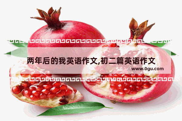 两年后的我英语作文,初二篇英语作文