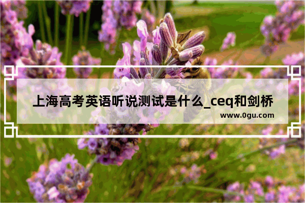 上海高考英语听说测试是什么_ceq和剑桥通用5级英语考试区别