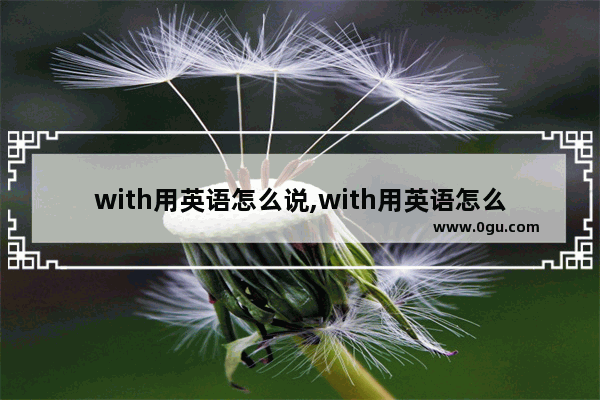 with用英语怎么说,with用英语怎么说