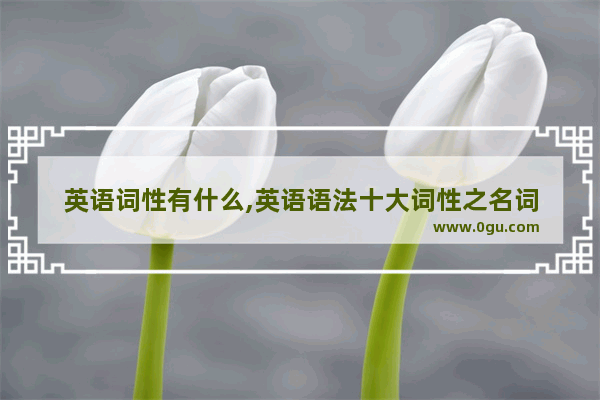 英语词性有什么,英语语法十大词性之名词