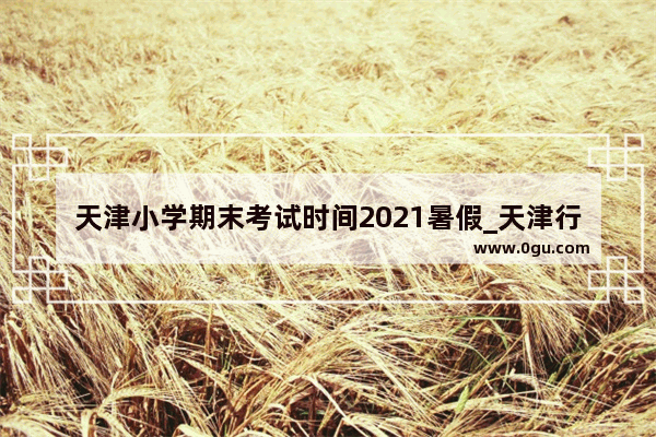 天津小学期末考试时间2021暑假_天津行政服务中心上班时间