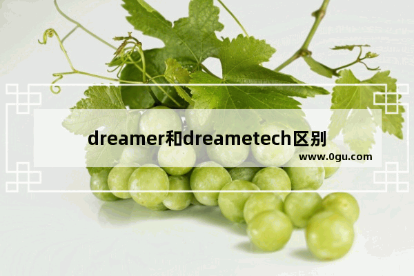 dreamer和dreametech区别,想象力用英语怎么说