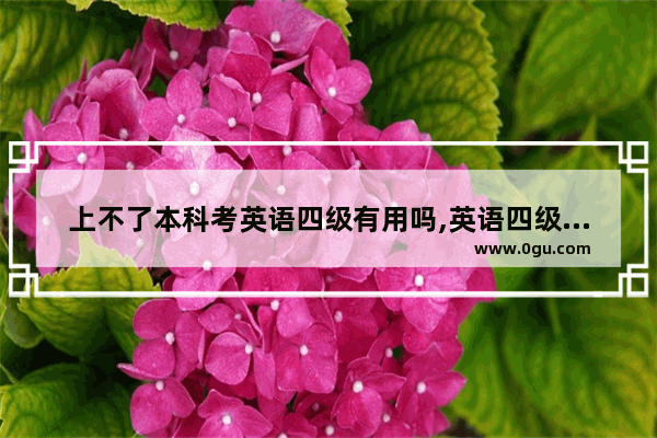 上不了本科考英语四级有用吗,英语四级能上本科吗吗