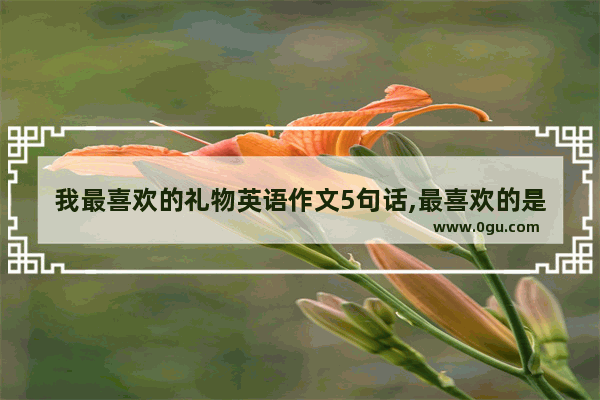 我最喜欢的礼物英语作文5句话,最喜欢的是英语作文