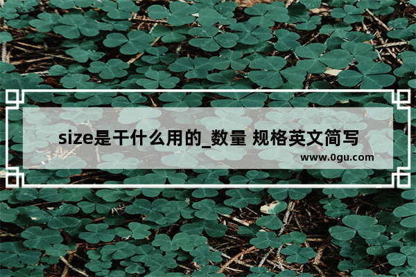 size是干什么用的_数量 规格英文简写