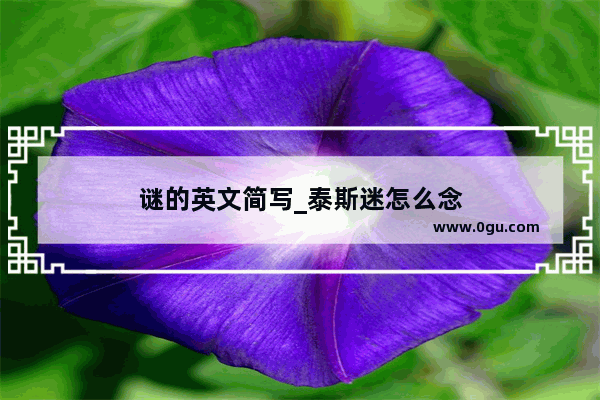 谜的英文简写_泰斯迷怎么念