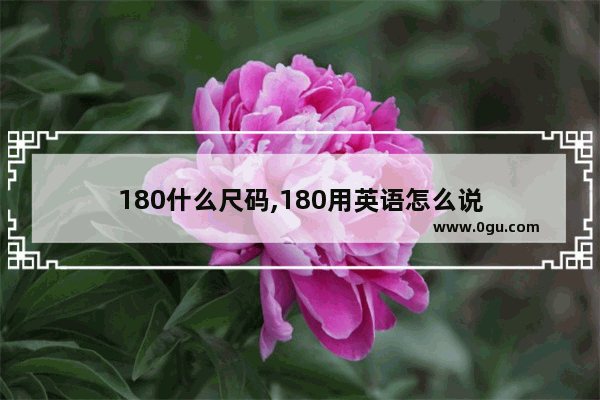 180什么尺码,180用英语怎么说