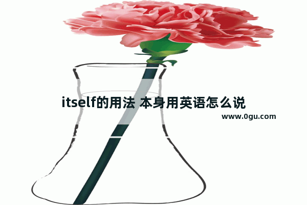itself的用法 本身用英语怎么说
