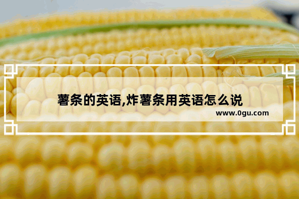 薯条的英语,炸薯条用英语怎么说