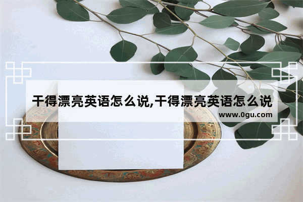 干得漂亮英语怎么说,干得漂亮英语怎么说