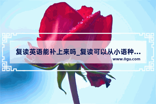 复读英语能补上来吗_复读可以从小语种换成英语吗