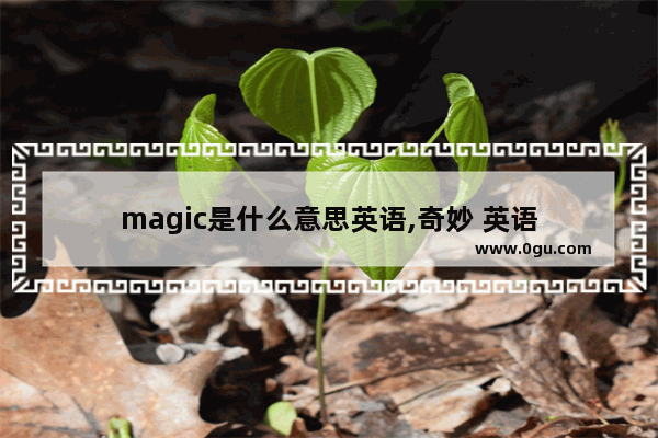 magic是什么意思英语,奇妙 英语