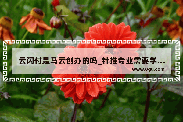 云闪付是马云创办的吗_针推专业需要学英语吗