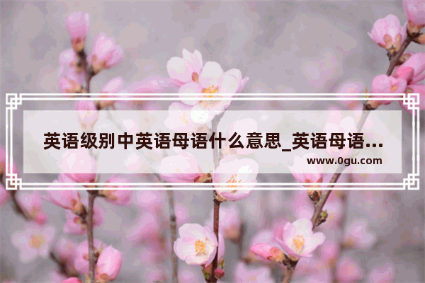 英语级别中英语母语什么意思_英语母语的人词汇量要求多少