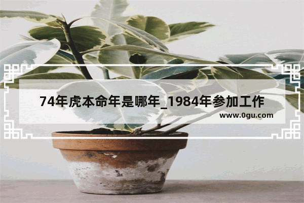 74年虎本命年是哪年_1984年参加工作1988离职2006年开前几年算视同缴费吗