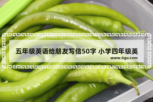 五年级英语给朋友写信50字 小学四年级英语信