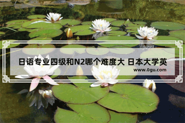 日语专业四级和N2哪个难度大 日本大学英语四级难度排名