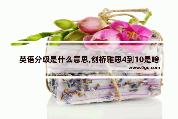 英语分级是什么意思,剑桥雅思4到10是啥意思