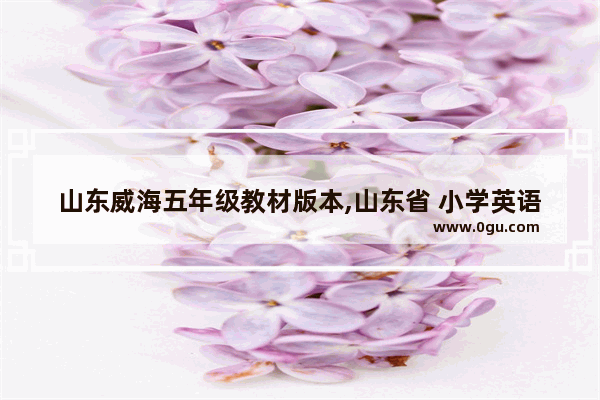 山东威海五年级教材版本,山东省 小学英语 五年级