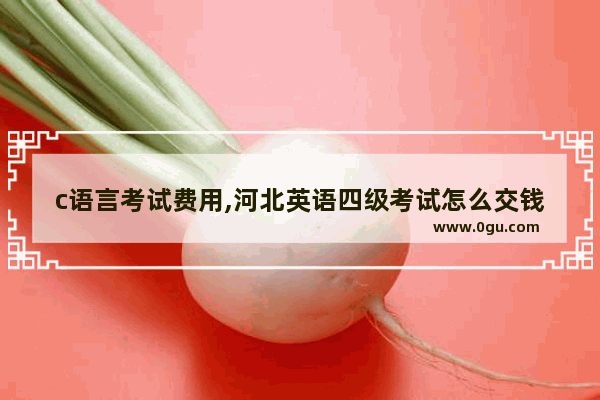 c语言考试费用,河北英语四级考试怎么交钱