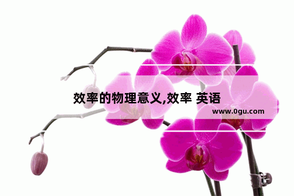 效率的物理意义,效率 英语