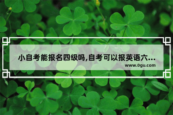 小自考能报名四级吗,自考可以报英语六级么吗