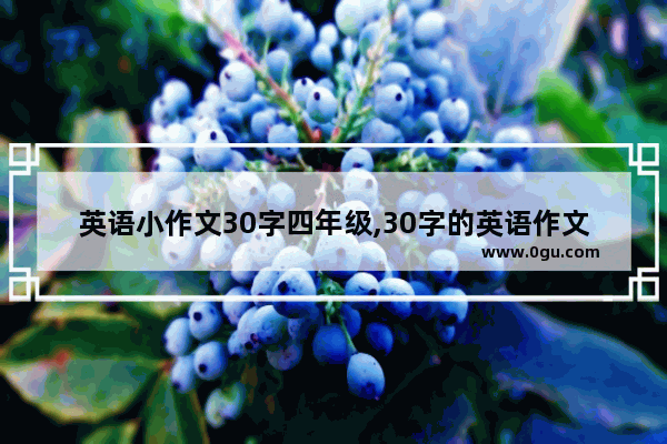 英语小作文30字四年级,30字的英语作文