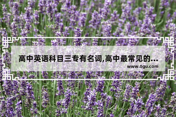 高中英语科目三专有名词,高中最常见的英语语法单词