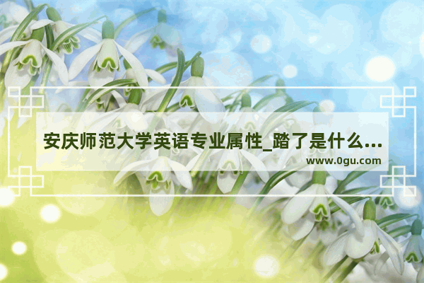 安庆师范大学英语专业属性_踏了是什么意思