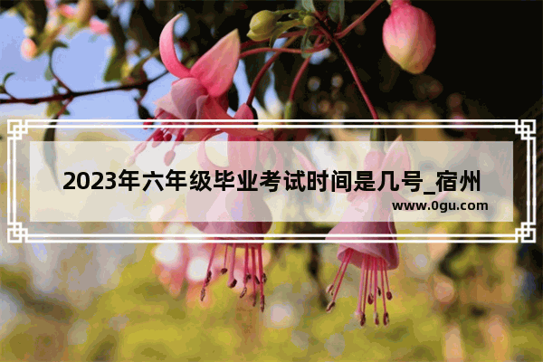 2023年六年级毕业考试时间是几号_宿州市体育馆对外开放时间