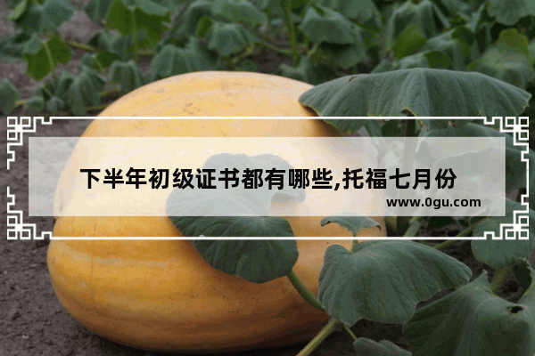 下半年初级证书都有哪些,托福七月份
