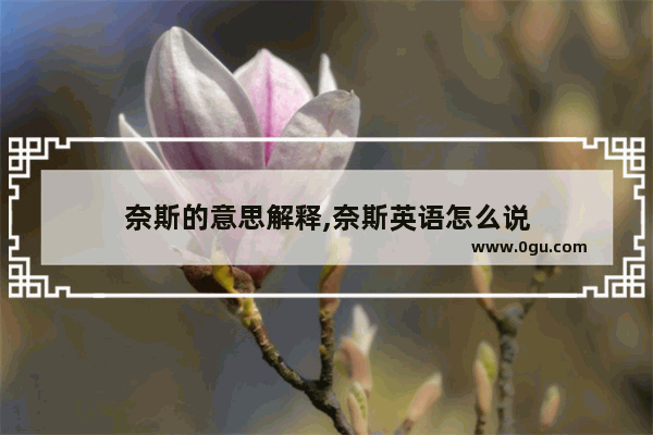 奈斯的意思解释,奈斯英语怎么说