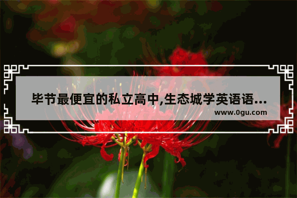 毕节最便宜的私立高中,生态城学英语语法学费