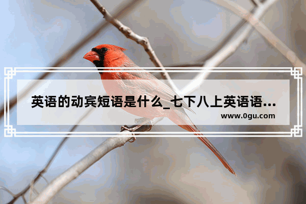 英语的动宾短语是什么_七下八上英语语法词组