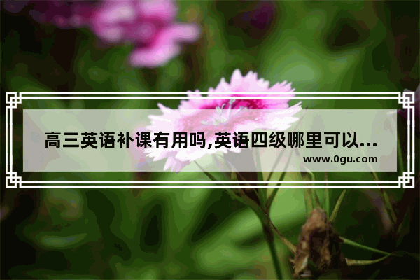 高三英语补课有用吗,英语四级哪里可以补课啊