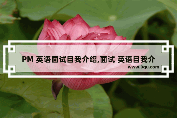 PM 英语面试自我介绍,面试 英语自我介绍