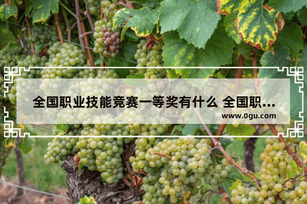 全国职业技能竞赛一等奖有什么 全国职场英语考试一级奖状