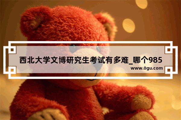 西北大学文博研究生考试有多难_哪个985学校博士好考