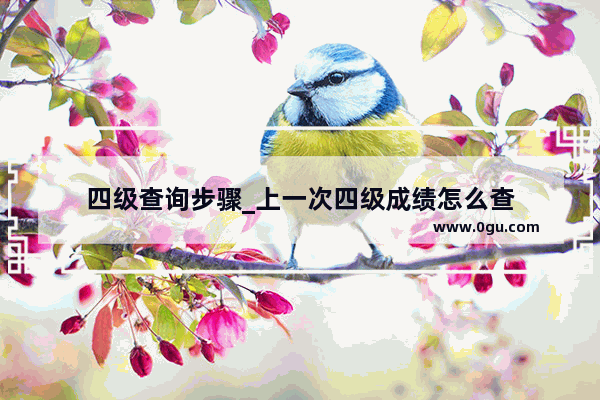 四级查询步骤_上一次四级成绩怎么查