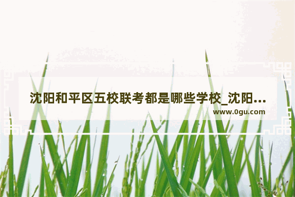 沈阳和平区五校联考都是哪些学校_沈阳和平区初中排名